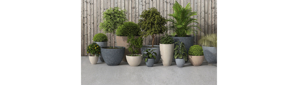 2024 Interior Greenery Trends: The Ultimate Guide To Elevate Your Space with Luxury Planters & Pots
