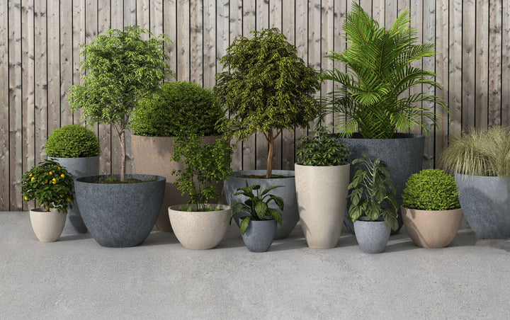 2024 Interior Greenery Trends: The Ultimate Guide To Elevate Your Space with Luxury Planters & Pots