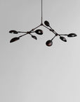 Close up of Drop chandelier from 101 Copenhagen available at Spacio retail stores in Mumbai & Kolkata.