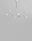 Close up of Drop chandelier from 101 Copenhagen available at Spacio retail stores in Mumbai & Kolkata.