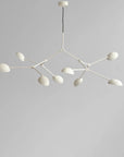 White finish Drop chandelier from 101 Copenhagen available at Spacio retail stores in Mumbai & Kolkata.