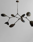 Modern chandelier with black leaf-like design on a plain background in burned black finish available at Spacio retail stores in Mumbai & Kolkata.