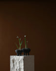 Three small potted plants on a stone pedestal against a brown background