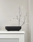 Black bowl with dried branches on a white surface against a light gray wall