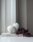 Two white vases on a book with a plant against a gray wall from 101 Copenhagen at Spacio retail stores in Mumbai & Kolkata.