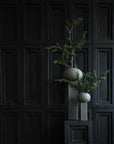 Two 101Cph Empire Mini Dark Grey 223036 ceramic vases with a plant on them in front of a black wall.
