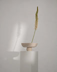 Minimalist scene with a small beige bowl containing a single green plant on a white pedestal against a plain background from 101 Copenhagen at Spacio retail stores in Mumbai & Kolkata.
