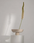 Minimalist scene with a small beige bowl containing a single green plant on a white pedestal against a plain background from 101 Copenhagen at Spacio retail stores in Mumbai & Kolkata.