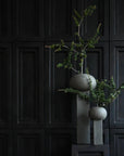 Two ceramic 101Cph Empire Big Dark Grey 223034 vases with a plant on them in front of a black wall, featuring architectural references.