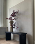 A quirky 101Cph Empire Mini Sand 223037 bench with a vibrant plant in front of a wall.