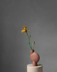 A sculptural vase with a single yellow flower on a gray background from 101 Copenhagen at Spacio retail stores in Mumbai & Kolkata.