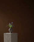 Small plant in a vase on a pedestal against a dark brown background from 101 Copenhagen at Spacio retail stores in Mumbai & Kolkata.