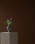 Small plant in a vase on a pedestal against a dark brown background from 101 Copenhagen at Spacio retail stores in Mumbai & Kolkata.