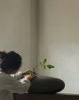 Person holding a small plant against a plain wall in a grey vase from 101 Copenhagen at Spacio retail stores in Mumbai & Kolkata.
