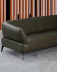 Ardea collection