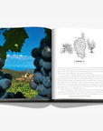 Corsica map on a double spread in a luxurious Assouline Wine & Travel France coffee table book featuring France’s finest vineyards and wine regions, available at Spacio India retail stores and online.