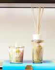 Miami My First Baobab candle and diffuser set by Baobab Collection on vibrant blue decor boxes, glass material with fresh fragrance of cypress and maritime pine, available at Spacio India