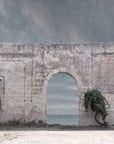 Carpe Diem Wall CD 028| Spacio