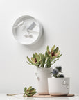 Two white vases with plants and a Haoshi Sparrow Round Wall Clock - Gray on the wall, enhancing the innocence of the room's gray color scheme.