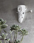 Clock Haoshi Cuckoo - Tree Spacio India