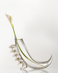 Clear glass vase with a unique design, containing a single white flower on a light gray background.