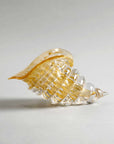 Duccio Di Segna Cornucopia medium sculpture in amber and gold crystal – luxury crystal decor object available at Spacio India