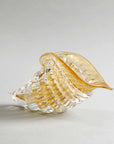 Finely sculpted Duccio Di Segna cornucopia in amber-gold crystal, luxury table decor available at Spacio India