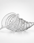 Cornucopia Big Clear