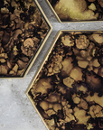 Tortoise Organic Small
