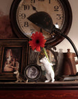 Haoshi Chipmunk Vase Carry on Back 03 Spacio India