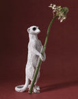Haoshi Meerkat Vase Stand 01 Spacio India