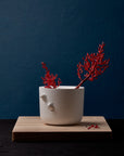 An attractive Haoshi Sparrow Vase Grand with modern design, featuring red flowers sitting on top of a wooden board.
