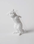 Haoshi Chipmunk Vase Carry on Back 03 Spacio India