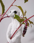 Haoshi Meerkat Vase Sit 02 Spacio India