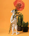 Haoshi Meerkat Vase Stand 01 Spacio India