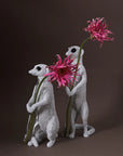 Haoshi Meerkat Vase Stand 01 Spacio India