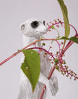 Haoshi Meerkat Vase Stand 01 Spacio India