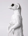 Haoshi Meerkat Vase Stand 01 Spacio India