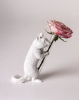 Haoshi Chipmunk Vase Hold 02 Spacio India