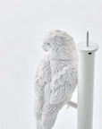 Haoshi Parrot Candle Holder Single Spacio India