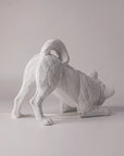 Haoshi Playful Dog Lamp Spacio India