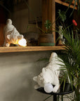 Haoshi Playful Dog Lamp Spacio India