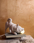 Haoshi Playful Dog Lamp Spacio India