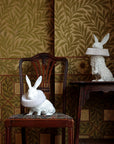 Haoshi Rabbit Squat Lamp Spacio India