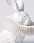 Haoshi Rabbit Squat Lamp Spacio India
