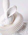 Haoshi Rabbit Squat Lamp Spacio India