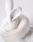 Haoshi Rabbit Squat Lamp Spacio India