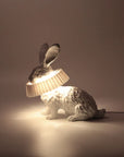 Haoshi Rabbit Squat Lamp Spacio India