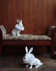 Haoshi Rabbit Squat Lamp Spacio India