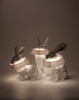 Haoshi Rabbit Stand Lamp Spacio India